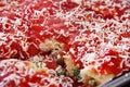 Manicotti in a pan Royalty Free Stock Photo