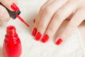 Manicure - Beautiful manicured woman`s nails with red nail polish on soft white towel. Royalty Free Stock Photo