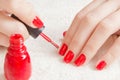 Manicure - Beautiful manicured woman`s nails with red nail polish on soft white towel. Royalty Free Stock Photo