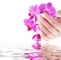 Manicure and beauty background Royalty Free Stock Photo