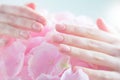 Manicure, beauty nails. Beautiful Woman`s hands, Spa and Manicure concept. Female hands with beautiful natural pink french