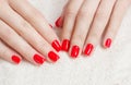 Manicure - Beauty treatment photo of nice manicured woman fingernails with red nail polish. Royalty Free Stock Photo