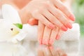 Manicure concept. Beautiful woman& x27;s hands with perfect manicure at beauty salon. Royalty Free Stock Photo