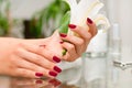 Manicure concept. Beautiful woman& x27;s hands with perfect manicure at beauty salon. Royalty Free Stock Photo