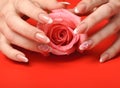 Manicure. Female hands on red background