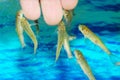 Manicure fish spa beauty treatment.