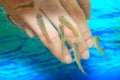 Manicure fish spa beauty treatment.