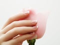 Manicure, Hands spa Beautiful woman hands, soft skin, beautiful nails with pink rose flowers petals. Healthy Royalty Free Stock Photo