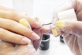 Manicure. the manicurist applies the base to the client under gel polish. transparent base on the nails.