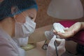 Manicure. Master manicurist varnishes the gel on the nails of a female client.