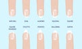 Manicure most popular fashion nail shapes flat style vector illustration set isolated light blue background.