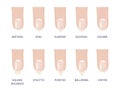 Manicure most popular fashion nail shapes flat style vector illustration set isolated light blue background.