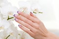 Manicure and orchid