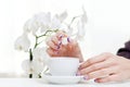 Manicure, orchid and coffee