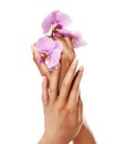 Manicure, orchid flower and nails on hands of a woman after spa or beauty salon treatment in studio. Female model with