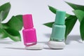 Manicure or pedicure background. Creative mockup of isolated cosmetics bottles with pink and green nail polish with plant, on Royalty Free Stock Photo