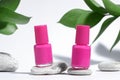 Manicure or pedicure background. Creative mockup of isolated cosmetics bottles with pink nail polish with plant, on stone, on Royalty Free Stock Photo