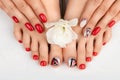 Manicure, pedicure beauty salon concept. Womans feet and hands on gray background Royalty Free Stock Photo