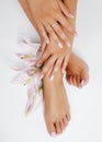 Manicure pedicure with flower lily closeup isolated on white perfect shape hands spa salon