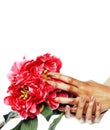 Manicure pedicure people hands concept, woman fingers in shape of heart holding pink rose flowers Royalty Free Stock Photo