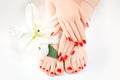 Manicure and pedicure in spa salon. Skincare. Healthy female hands and legs with beautiful nails Royalty Free Stock Photo