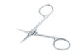 A manicure scissors