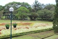 Manicured Garden View with Lamp