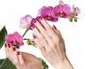 Manicured hands touching orchid Royalty Free Stock Photo