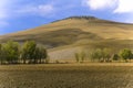 A manicured hill in Tuscany Royalty Free Stock Photo