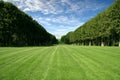 Manicured Lawn - Large Green Field Royalty Free Stock Photo