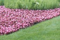 Manicured lawn with red flower beds in the park garden Royalty Free Stock Photo