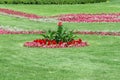 Manicured lawn with red flower beds in the park garden Royalty Free Stock Photo