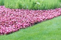 Manicured lawn with red flower beds in the park garden Royalty Free Stock Photo