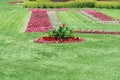 Manicured lawn with red flower beds in the park garden Royalty Free Stock Photo