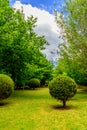 Manicured lawn and trimmed trees