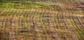 Manicured Striped Field Background Texture Royalty Free Stock Photo