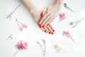 Manicured woman's nails with red nail polish. Royalty Free Stock Photo