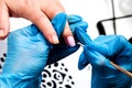 Manicurist applies a layer of gel polish to the clientÃ¢â¬â¢s nail. Brush pink nail polish