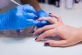 Manicurist treating client at beauty salon - painting on the nai Royalty Free Stock Photo