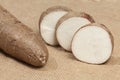 Manihot esculenta Yuca, manioc, guacamota Cassava raw tuber Royalty Free Stock Photo