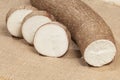 Manihot esculenta Yuca, manioc, guacamota Cassava raw tuber Royalty Free Stock Photo