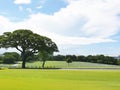 Manila American Cemetery and Memorial Royalty Free Stock Photo