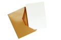 Manila brown envelope greeting card isolated