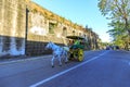 Running Horse with carriage with tourists in Intramuros district