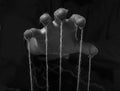 Manipulation concept. Hand of abuser manipulate with string