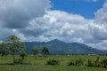 Beautiful Landscapes of Manipur, India Royalty Free Stock Photo