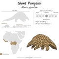 Manis gigantea Giant pangolin geographic range