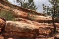 Manitou cliff dwellings