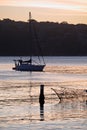 Manly Cove and Yacht at Sunset