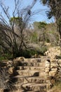 Manly Scenic Walkway